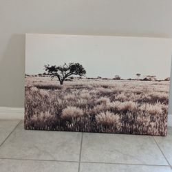 Canvas Wall Art