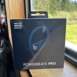 Powerbeats Pro Earphones