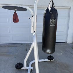 Century stand + punching bag