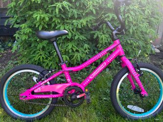 16” Guardian Bike