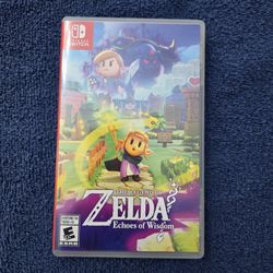Zelda echos of wisdom  nintendo switch 