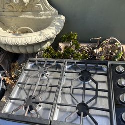 Wolf 30 Inch Cooktop