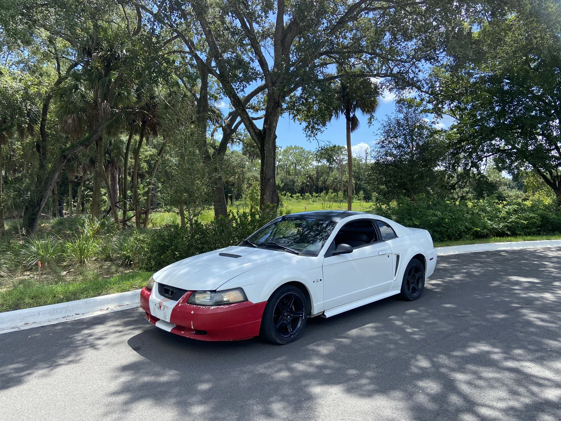 2000 Ford Mustang