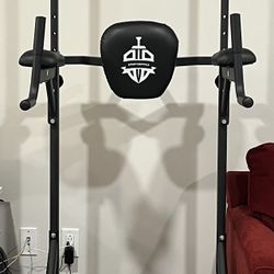 Pull Up Dip Station