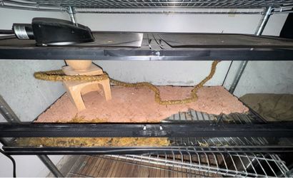 Reptile Glass Enclosure (Read Description)