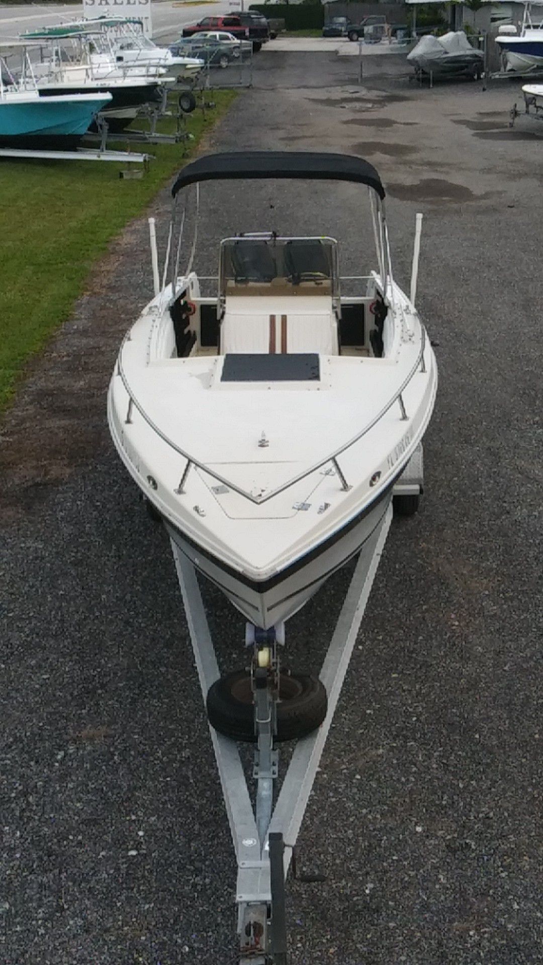 29' 6 " Scarab powered by when Mercury
