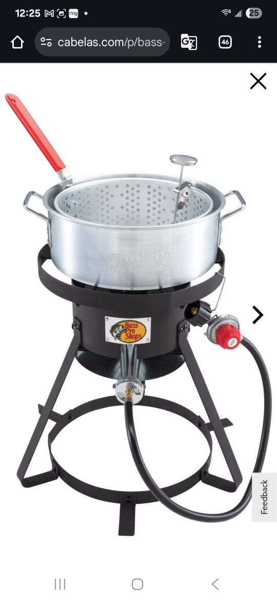 Bass Pro Shops Aluminum Fish Fryer