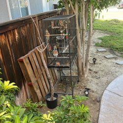 Large Bird Cage 