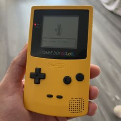 Game boy Color Dandelion Working 