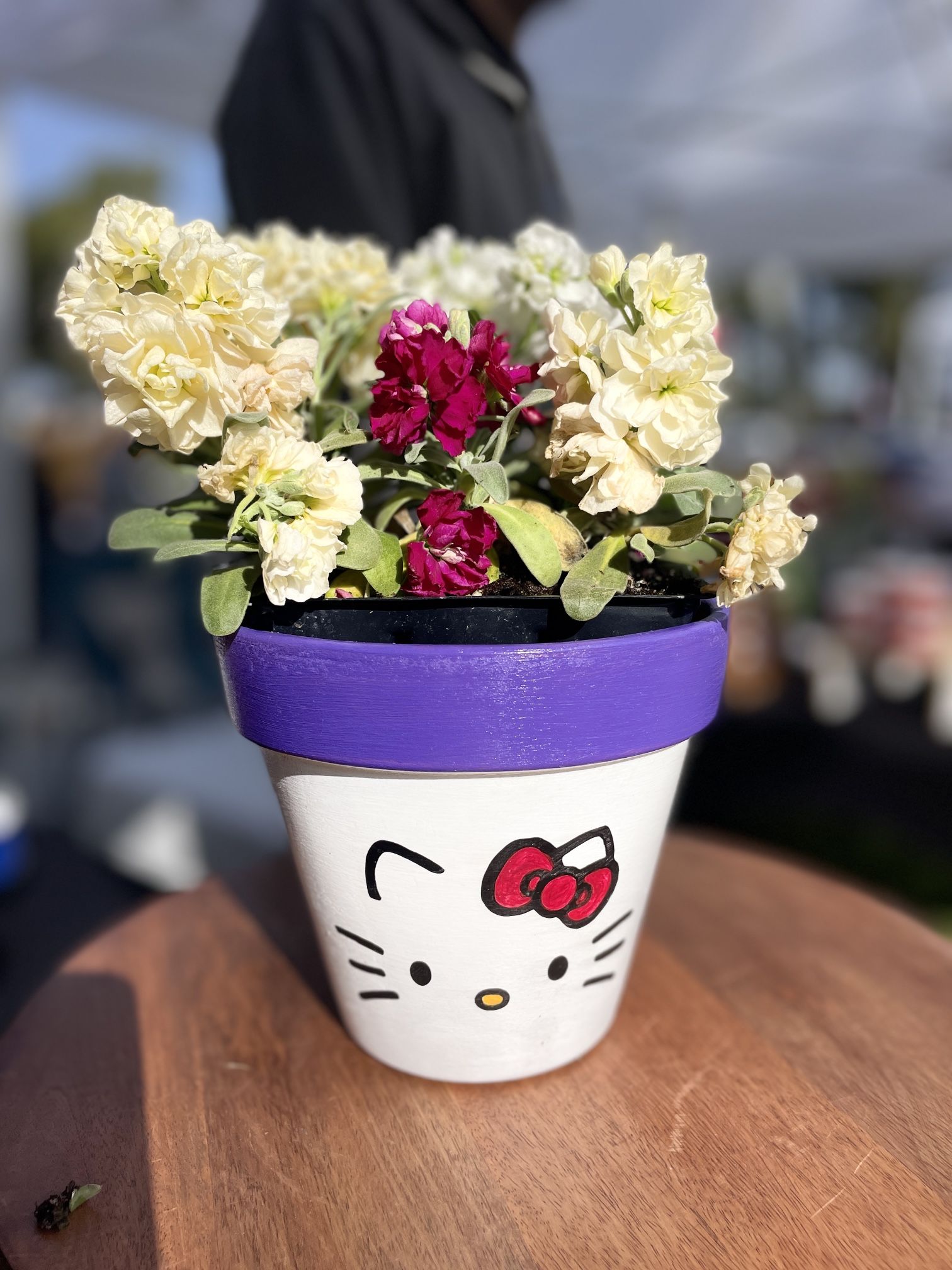 Hello Kitty Flower Pot