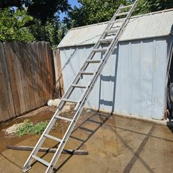 Ladder