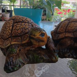 Tortugas