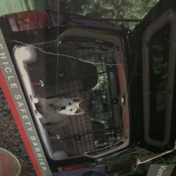 Dog Fence For Car