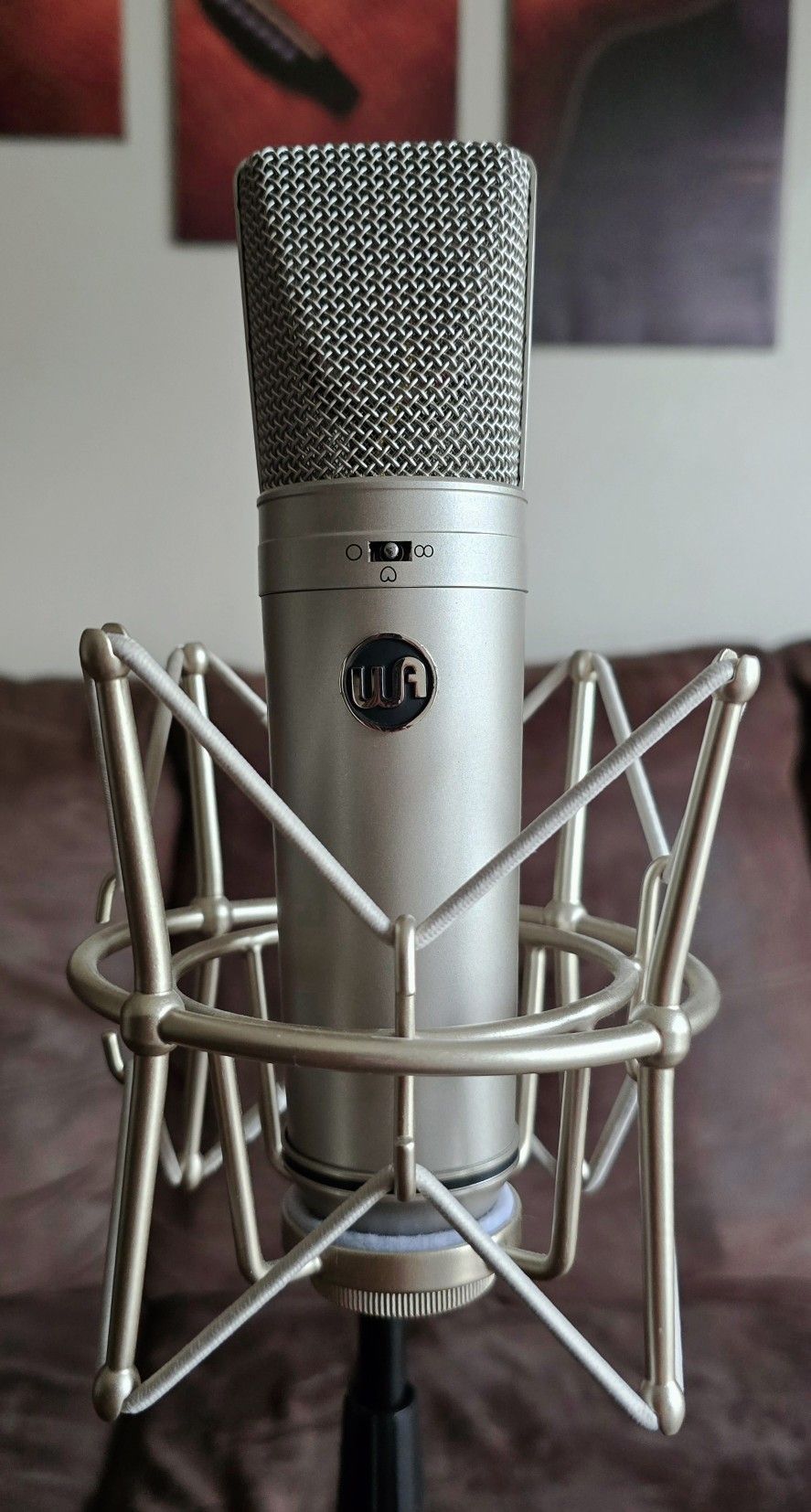 Warm Audio WA-87 Condenser Microphone