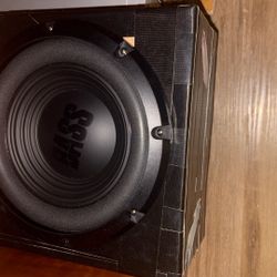 Alpine 10inch Subwoofer 