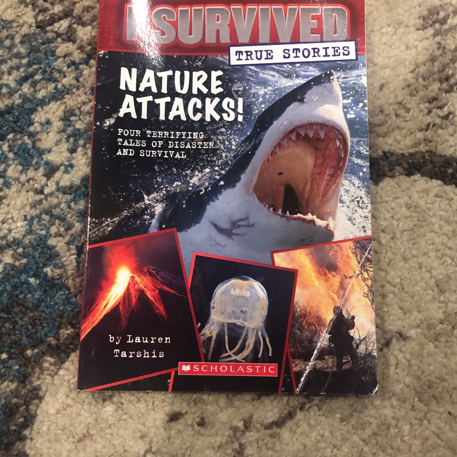 I Survived Nature Attacks