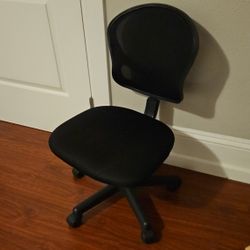Adjustable Rolling Chair