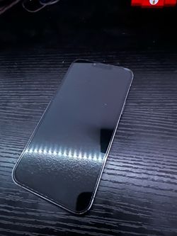 iPhone 13 Pro Max 256 GB unlocked