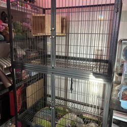 Double Ferret Nation Cage