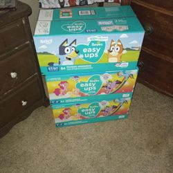 5T 60 Easy Ups 84 Count $20 A Case