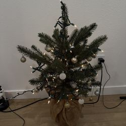 Mini Christmas Tree With Lights
