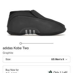 Kobe 2s Size13