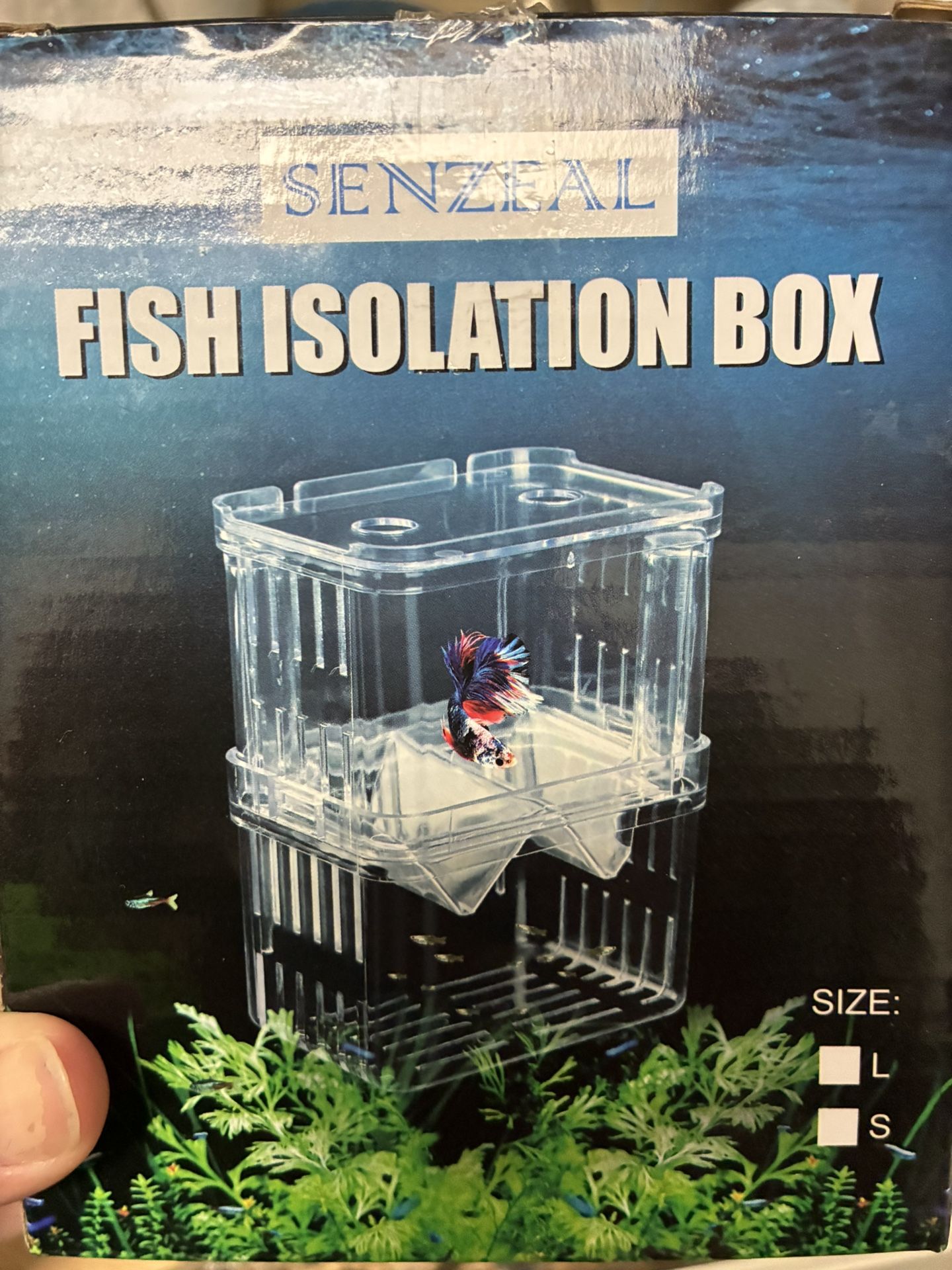 Fish Isolation/Breeding Tank