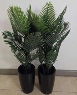 PAIR of 52" Faux Areca Palms in 16" Black Resin Planters (2 for $110) @ Lasting Creations