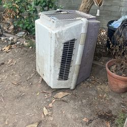 Dog Kennel