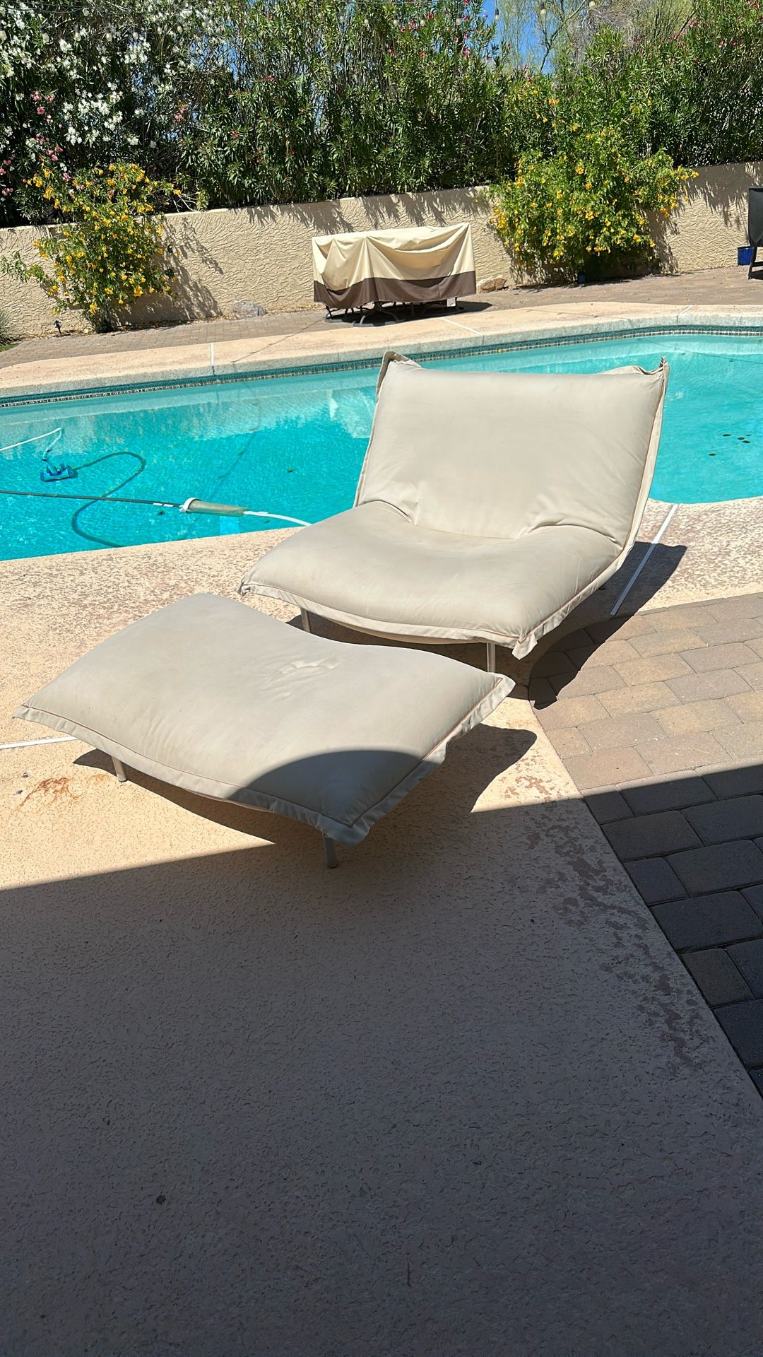 Ligne Roset Chair & Ottoman
