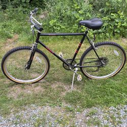 Alger schwinn new arrivals