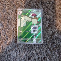Pidgeotto Pokemon Card