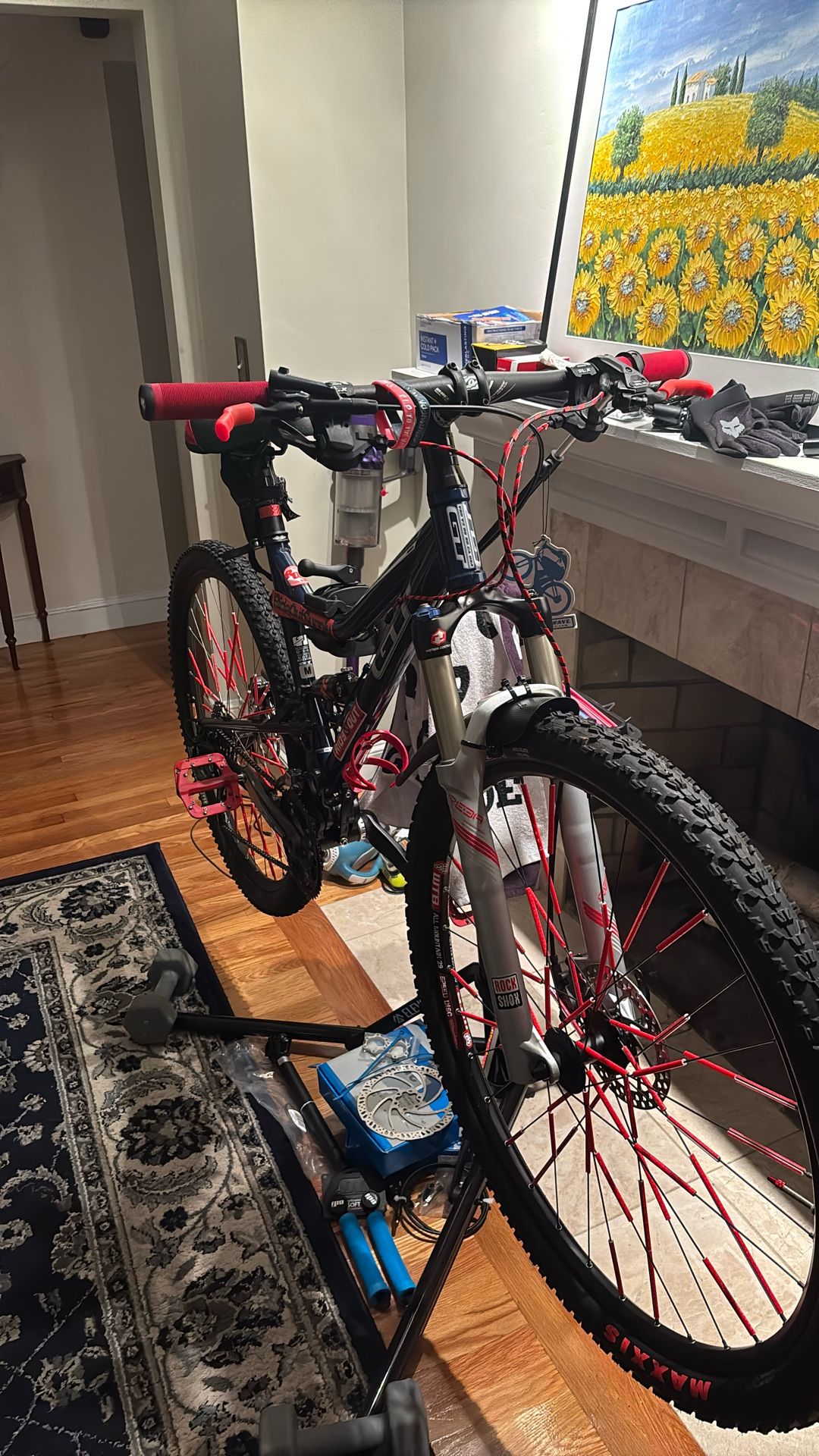 Full Suspension Gt Marathon Niner