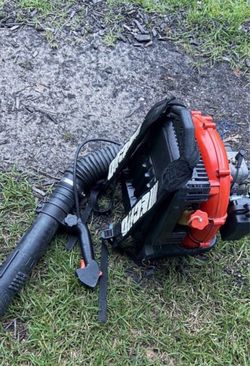 Leaf blower commercial echo