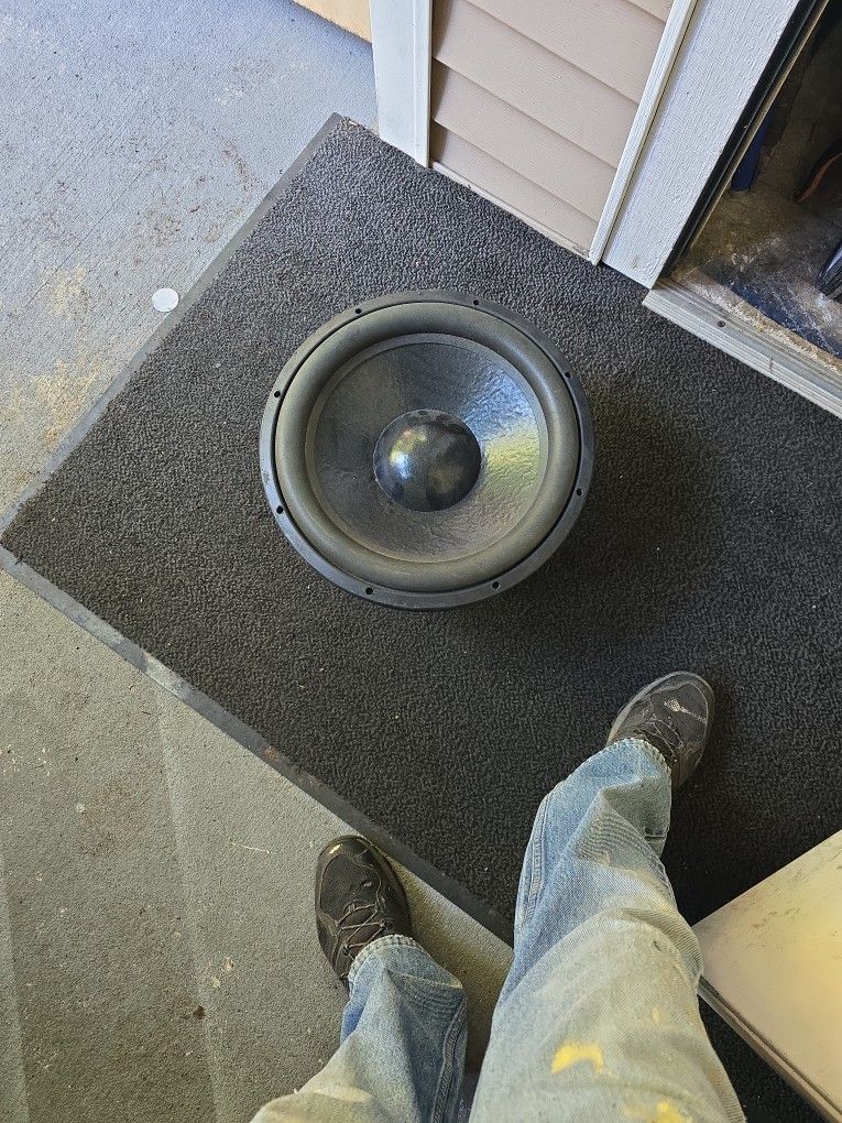 15" Speaker 