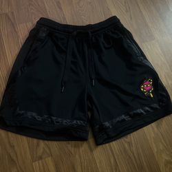 DRI-FIT Nike Fly Shorts 