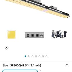 Grow Tent And Lights 