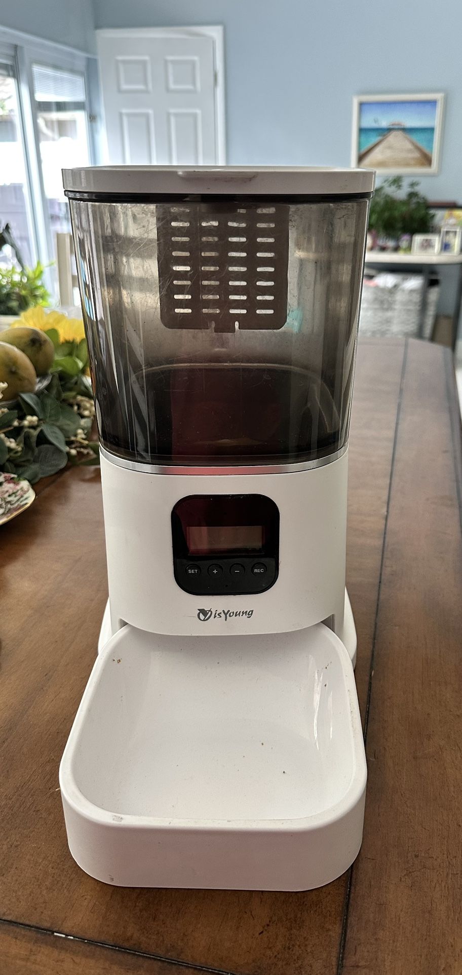 Automatic Cat/Dog Feeder