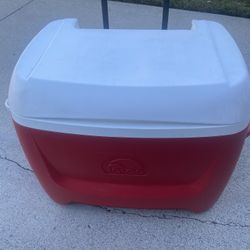 Igloo Cooler