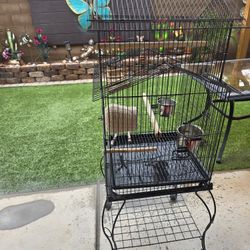 Big Bird Cage 
