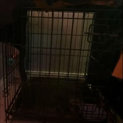Clean Pet Medium Size Cage 