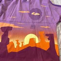 New Up Paradise Falls Sunset 