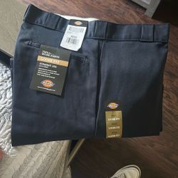 Dickies Navy Blue Pants Brand New