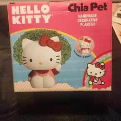 HELLO KITTY CHIA PET. 😺 SO CUTE 😍 💕 