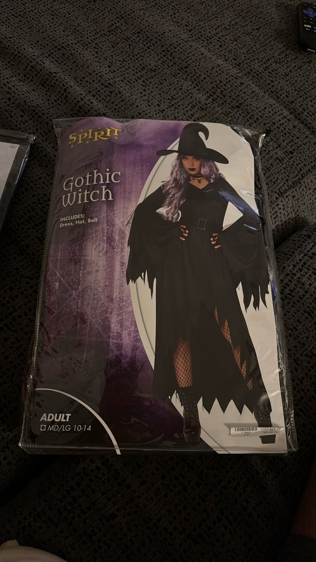 Halloween Costume - Gothic Witch and Wig- M/LG - $30