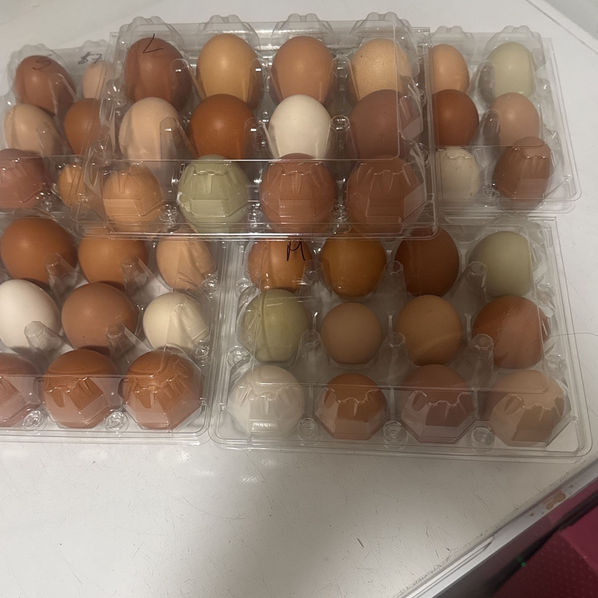 Organic Fresh EGGS