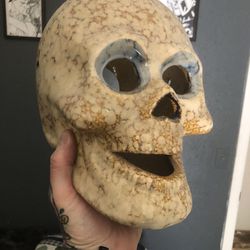 Skull For Sale