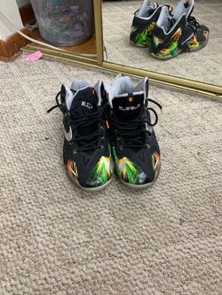 Lebron 12 Everglades
