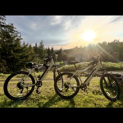 Qlife Cityone Electric Bike for Adults 26" Ebike with 2.1" Tire,Built-in Removable Battery, Peak 750&1200W Motor Ebikes with 7/21 Speed Carbon Steel M