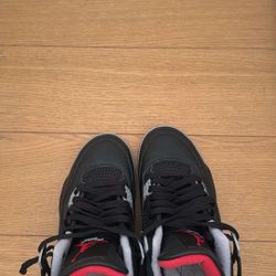 Jordan 4  Reimagined